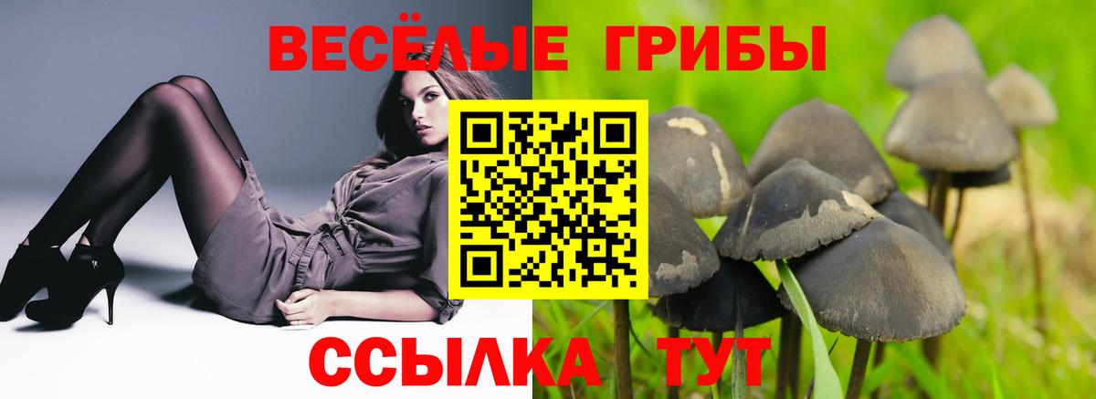 Галлюциногенные грибы прущие грибы Сосновый Бор